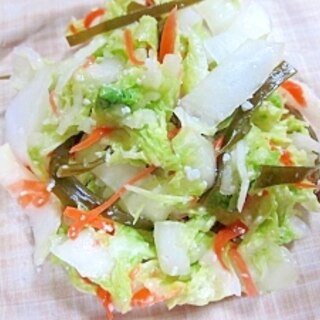 塩麹で白菜のサラダ風浅漬け